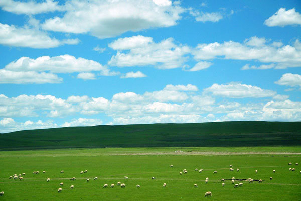 光伏太陽能環(huán)境監(jiān)測系統(tǒng)如何監(jiān)測青藏高原的大氣壓力