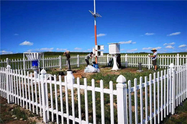 1562315988875672.jpg 11g.jpg