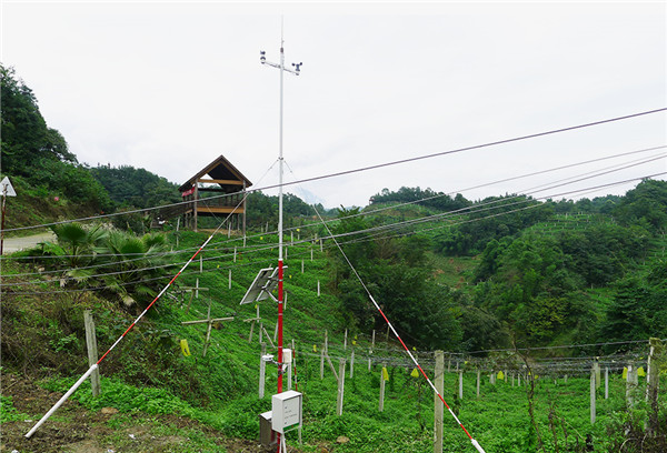 小型氣象站多少錢？風途小型氣象站報價