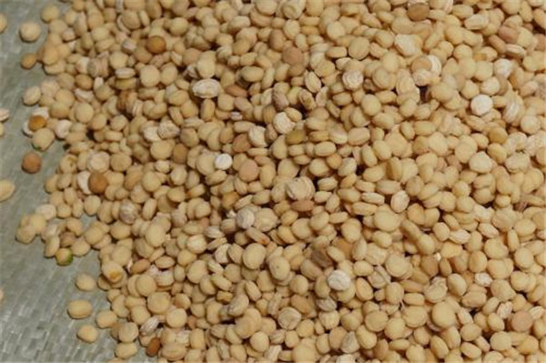 種子基地如何使用農(nóng)業(yè)氣象站來提高種子基地的產(chǎn)量？