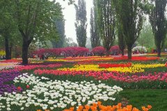 校園氣象站是怎么存儲數(shù)據(jù)的