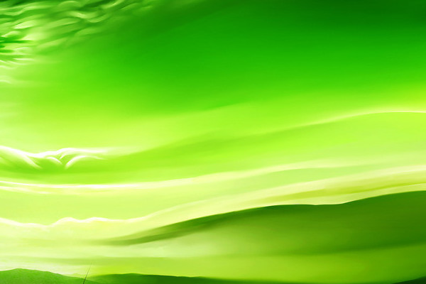 降水采樣器 降水采樣器