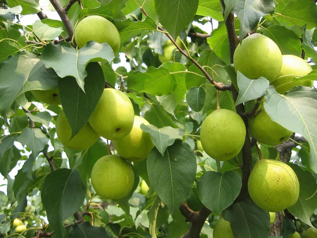 自動氣象站 自動氣象站