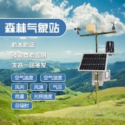 森林火災破壞生態(tài)，如何防范？