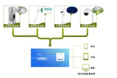 在番石榴的種植中，農(nóng)業(yè)四情監(jiān)測(cè)系統(tǒng)有何作用？